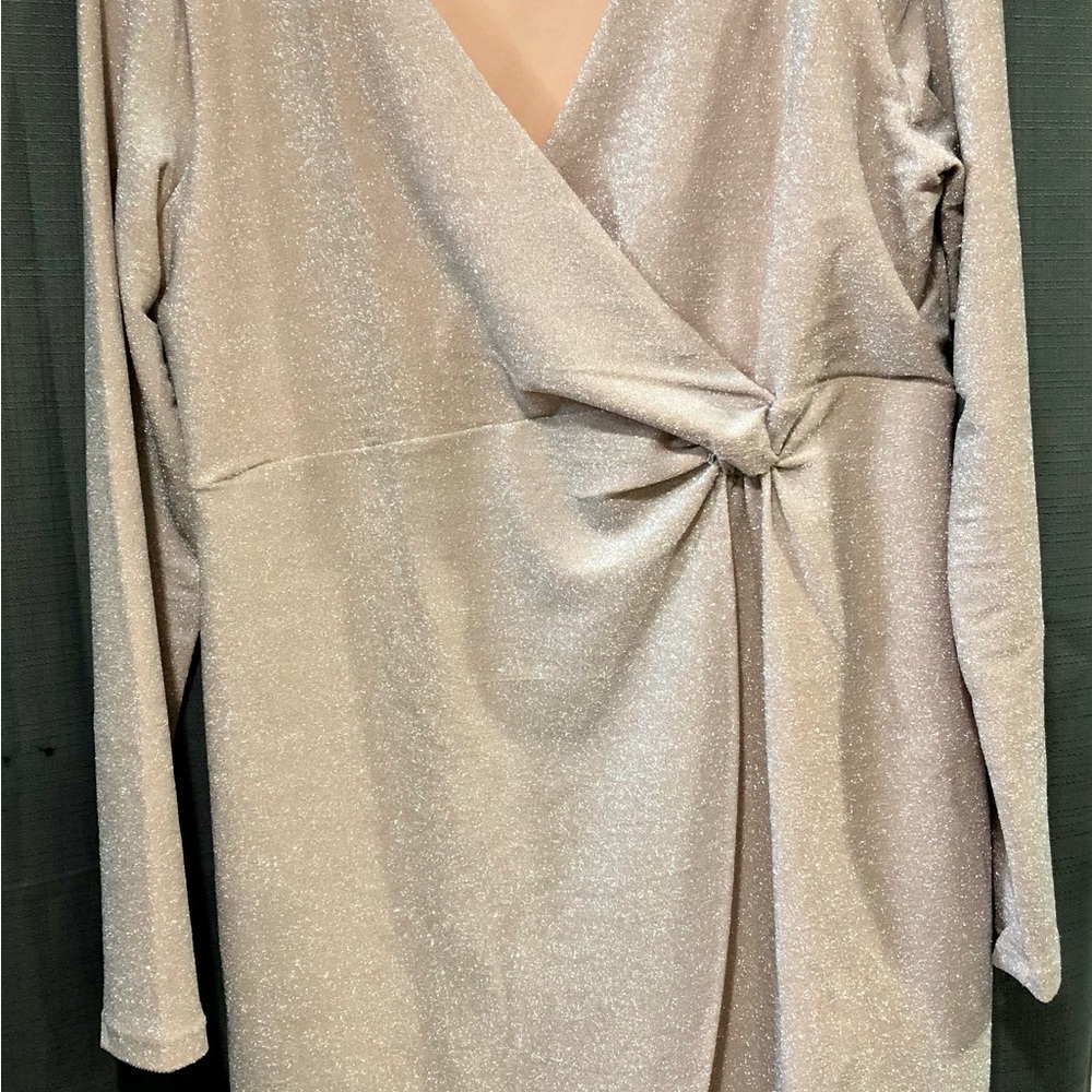 Nude sparkling long sleeve dress from Serra size Large. Never worn just washed. - Picture 7 of 8